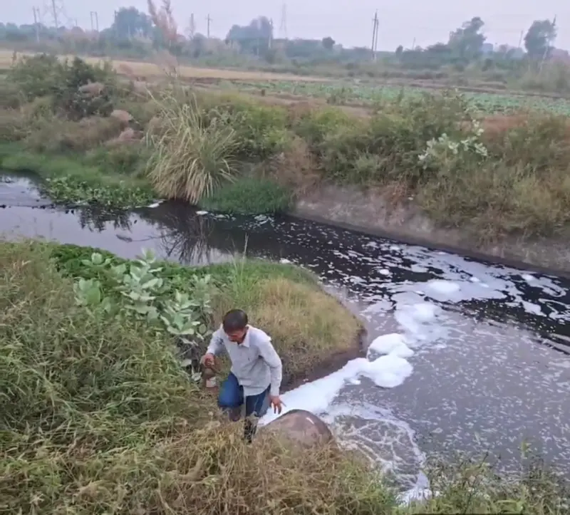 What steps Haryana Govt is taking to curb pollution in Yamuna
