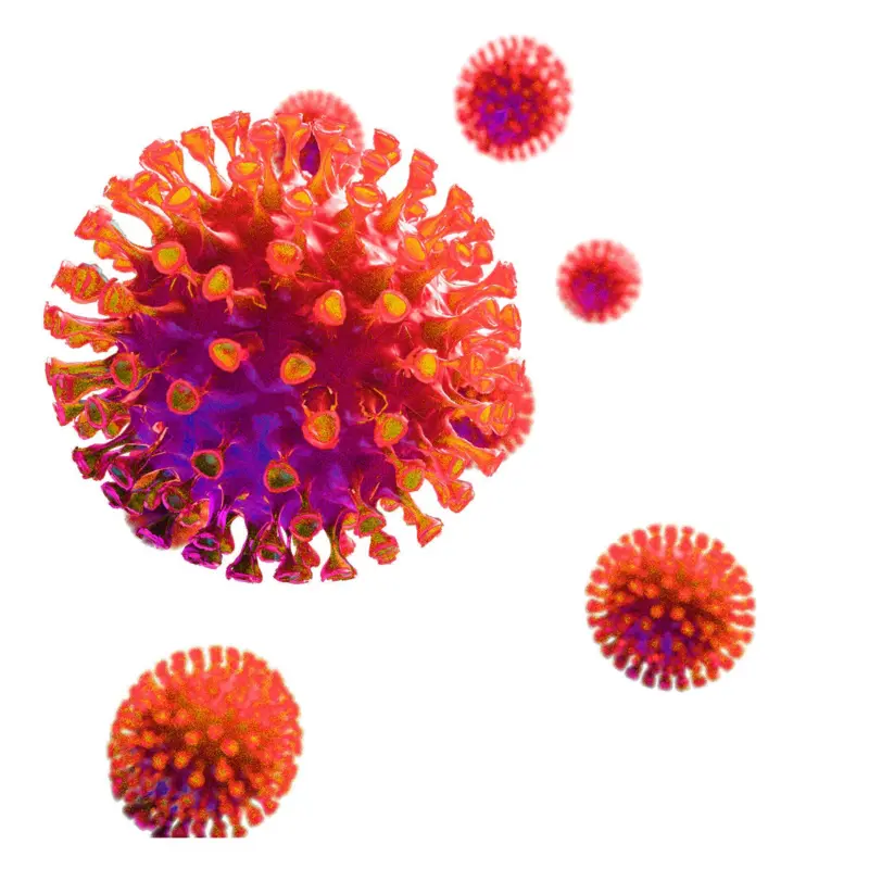 ಚಾಮರಾಜನಗರ: 15 ದಿನಗಳಲ್ಲಿ 2,038 ಪ್ರಕರಣ, 13 ಸಾವು