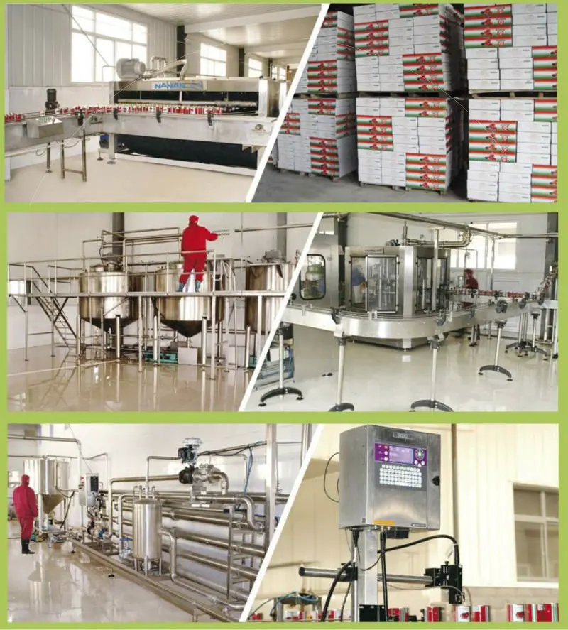 Leading Tomato Paste and Tomato Powder Manufacturer Offering Consistent Quality and Global Standards