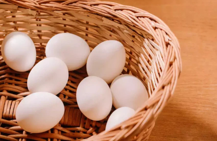 कहीं आप भी तो नहीं खा रहे नकली अंडे? ऐसे करें पता, सेहत पर पड़ जाएगा भारी