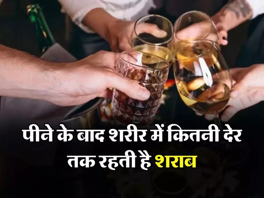 Alcohol Fact : पीने के बाद शरीर में कितनी देर तक रहती है शराब, पीने वालों को भी नहीं हैं इसकी जानकारी