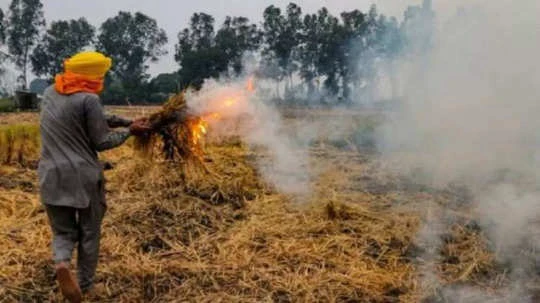 Punjab withdraws order to mark red entry in land records for stubble burning People News Time