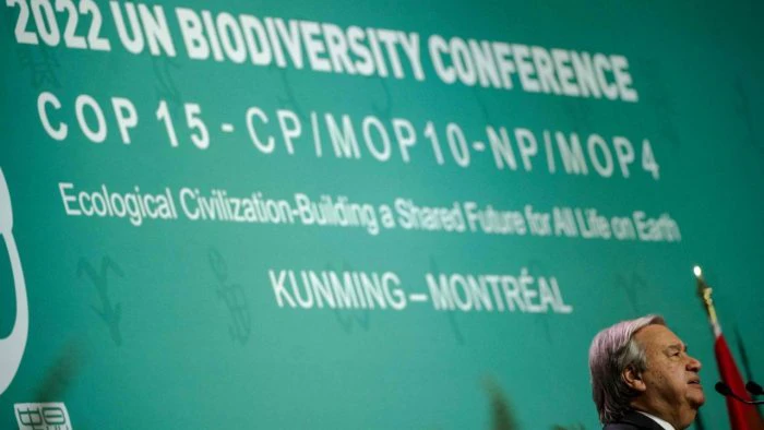 Businesses want COP15 nature summit to deliver clarity People News Time