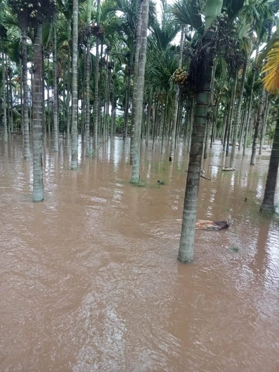 ಚಿತ್ರದುರ್ಗ ಜಿಲ್ಲೆಯಲ್ಲಿ ಮಳೆಯ ಅವಾಂತರ: ಜನ ತತ್ತರ