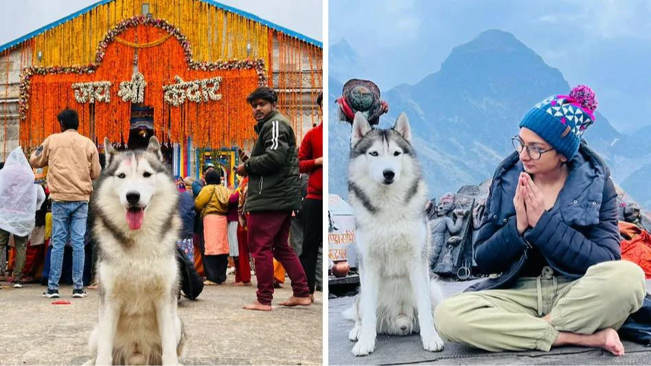 Devotees touched my dog's feet in Kedarnath, now we are receiving threats, says vlogger