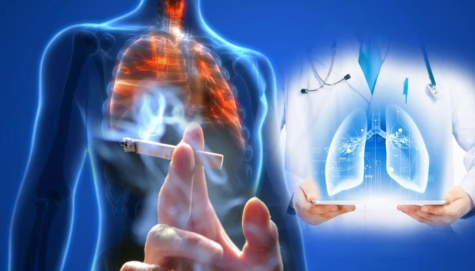 फेफड़ों का ज़हर निकालें! प्रदूषण और धूम्रपान से बचाने के लिए डाइट में शामिल करें ये 5 जड़ी-बूटियां